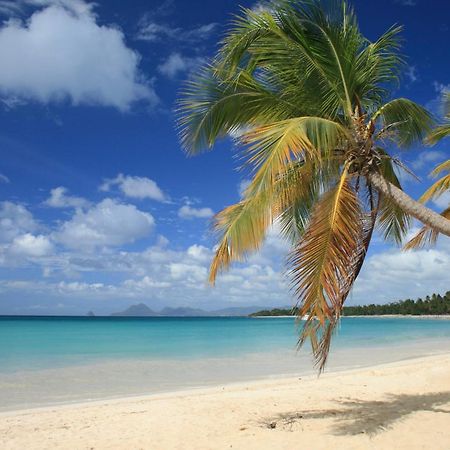 - Les Pieds Dans L'Eau A 50M De La Plage, Cote Mer Caraibe - Domaine De L'Anse Caritan - Sainte-Anne - Экстерьер фото